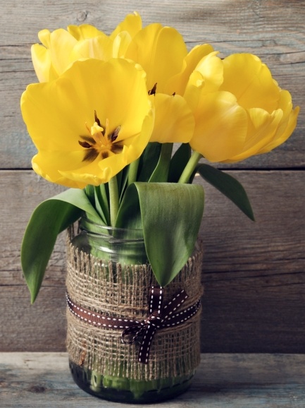 Vase of tulips